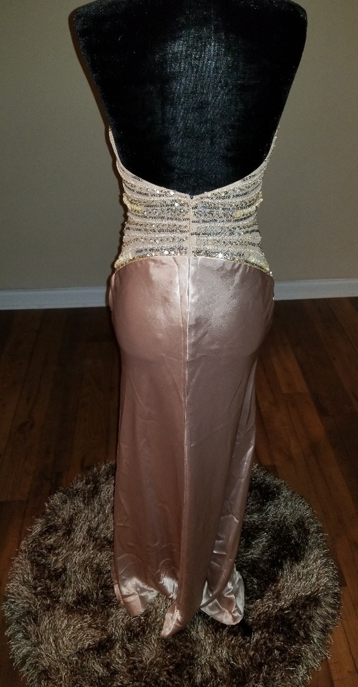 Champagne Beaded Vintage Cassandra Stone Dress - Picture 6 of 8